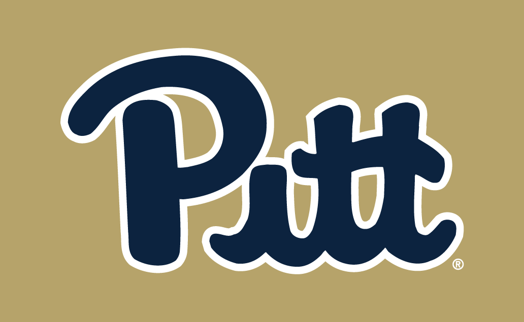 Pittsburgh Panthers 2016-2018 Alternate Logo v3 t shirts iron on transfers